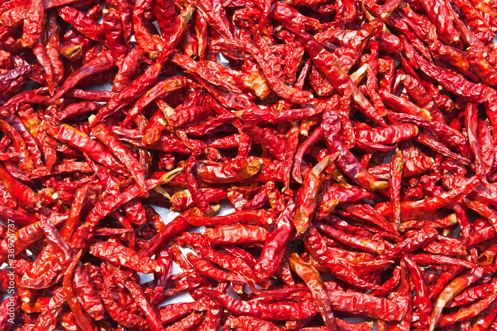 Dried chili background texture Dried chili background texture