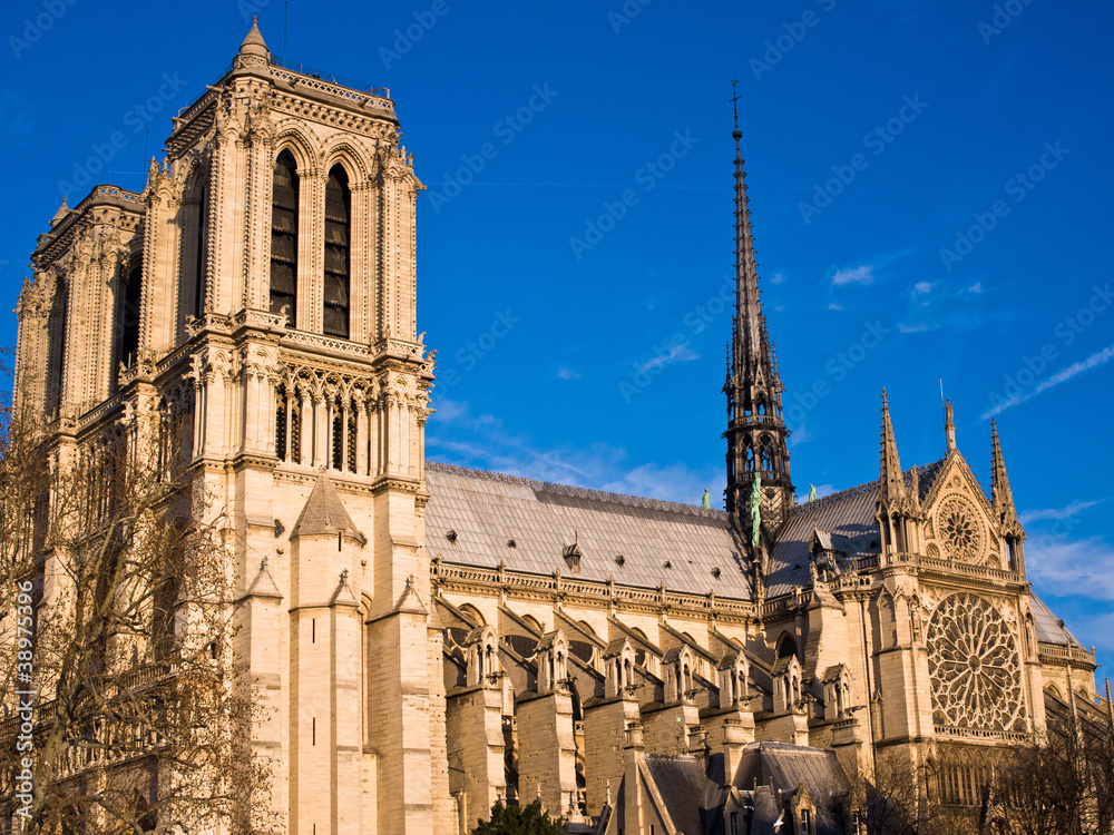 Obraz premium Cathedral in paris