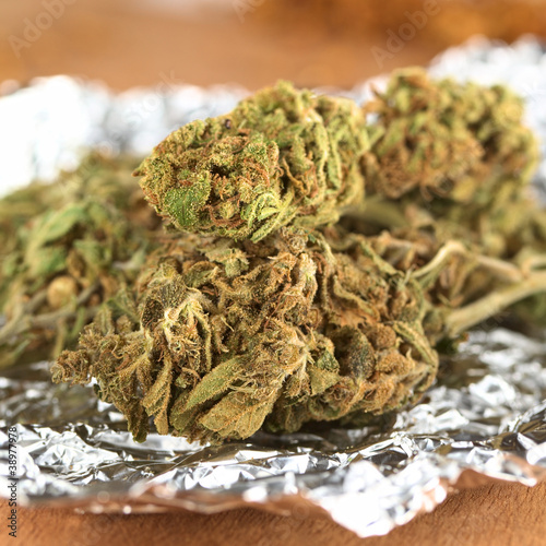 Dried flowers of Cannabis sativa on tinfoil