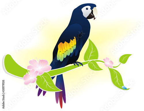 parrot ara