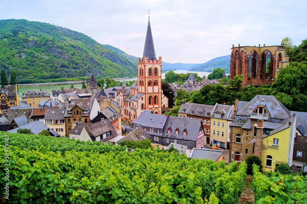 View over Bacharach along the famous Rhine River