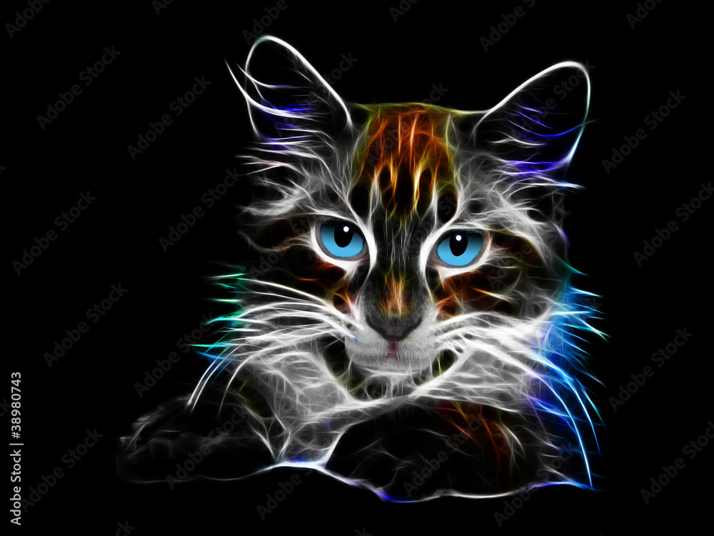 Fraktale Katze - fractal cat