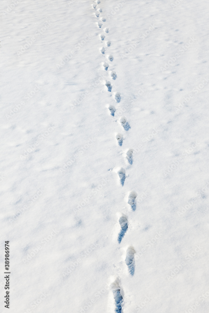 Spuren im Schnee