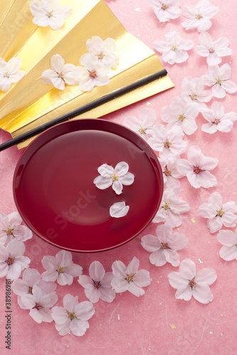桜と杯と扇