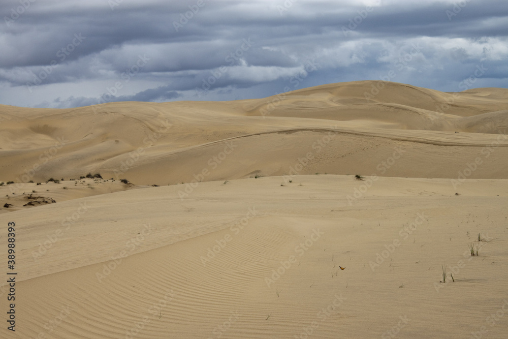 Sandy Thar desert in Rajasthan, India