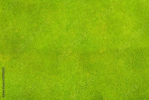 Perfect green grass texture from golf field