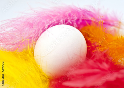 Single egg embedded in colorful feathers
