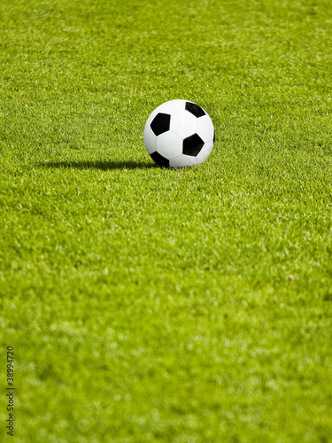 Classic soccer Ball on green grass © nexusseven