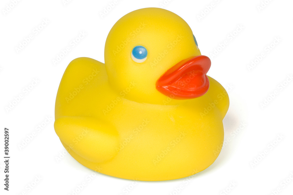 Quitscheente / Rubber Duck Quitscheente / Rubber Duck
