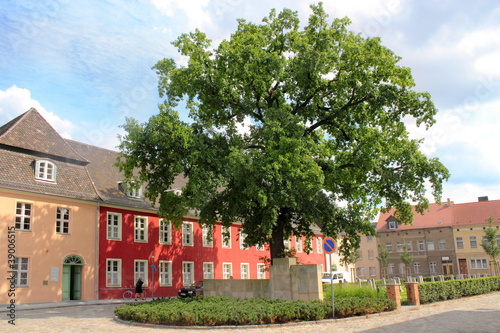 Sowjetischer Friedhof photo