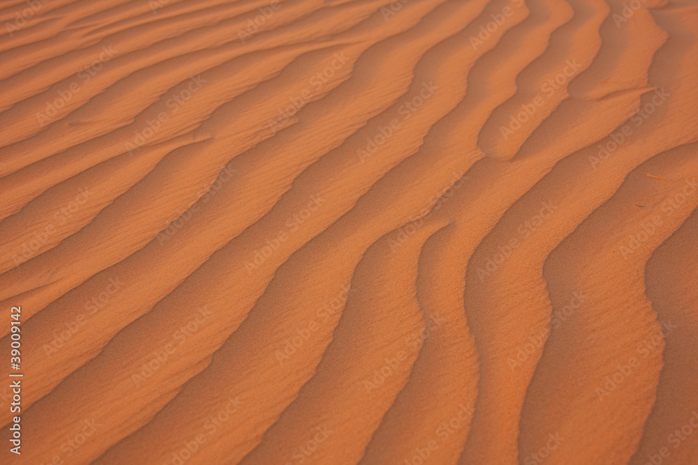 Desert Sand Dune Lines Desert Sand Dune Lines