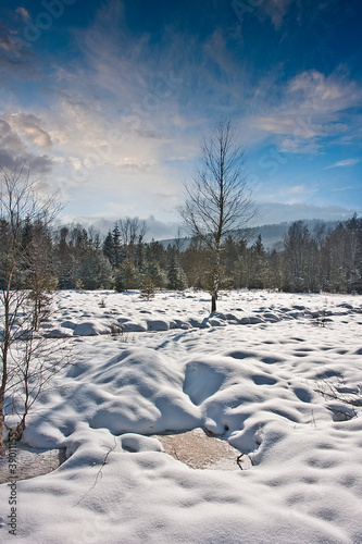 snow covered landscape
