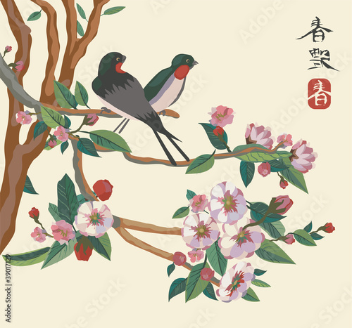 spring . japan .  birds . sakura .