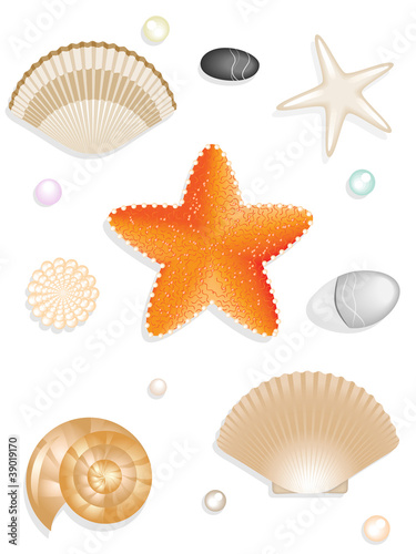 Set of seashells, seastar, stones isolated on white
