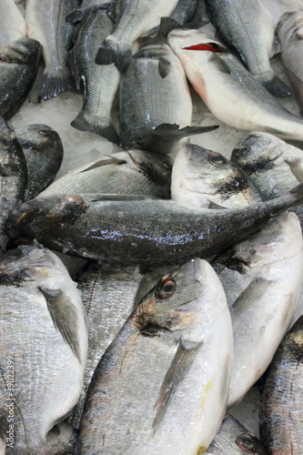 fresh sea bream fish on ice in fish mongers