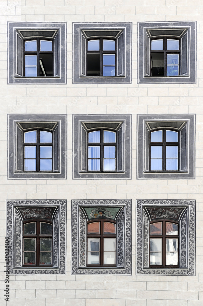 Fototapeta premium facciata con nove finestre