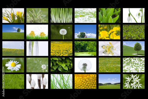Frühlingsbilder