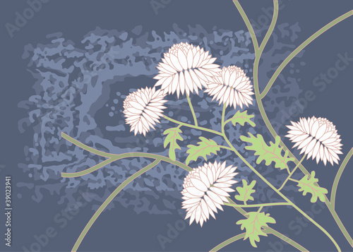 Chrysanthemums. Floral design. Vector illustration.