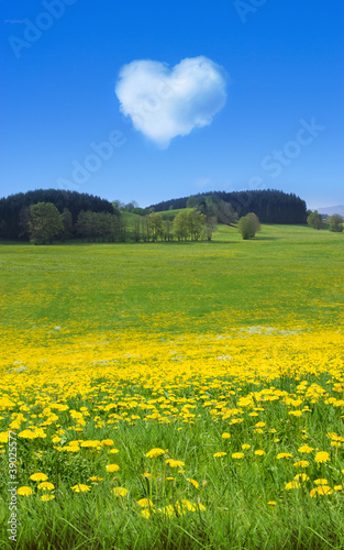Frühlingswiese mit Wolkenherz