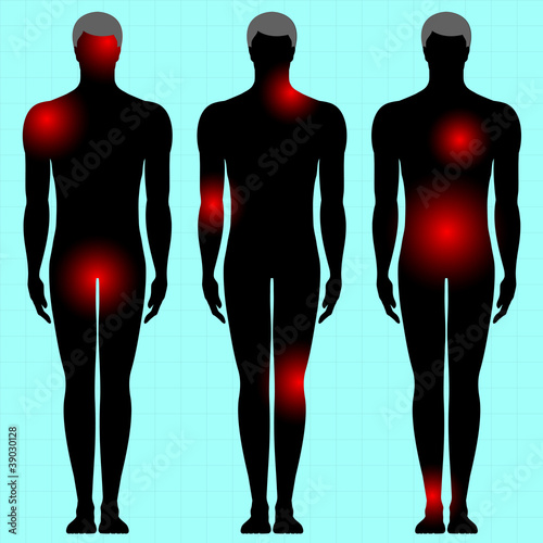 human body