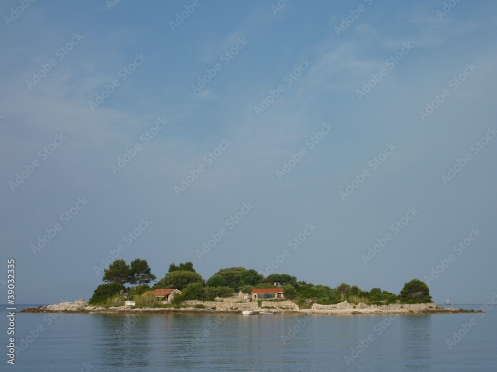An island in front of the Gradina bay  in Croatia