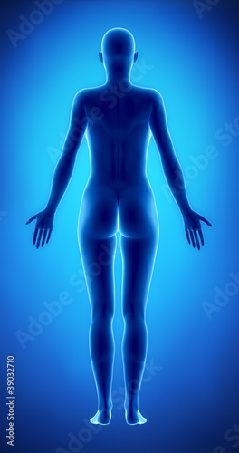 Female figure in anatomical position posterior view