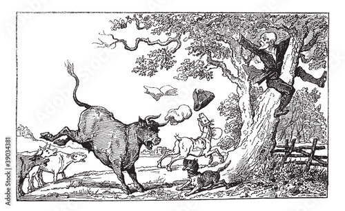 Dr. Syntax chased by a bull vintage engraving.