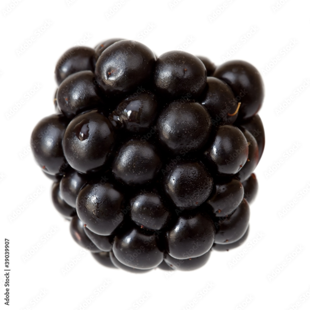 Blackberry Blackberry