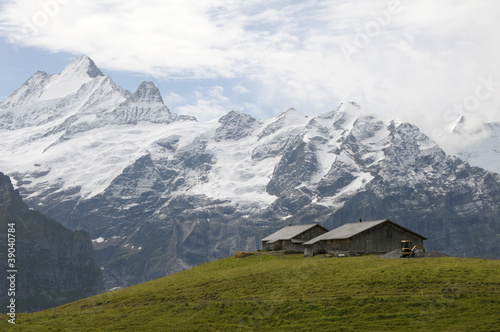 Huts and Schreckhorn above Grindelwald