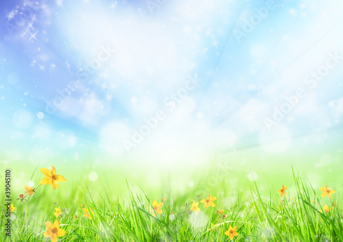 Beautiful spring meadow