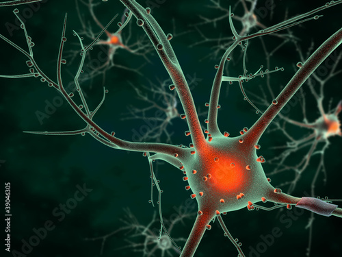 Cell body of a Neuron