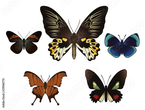 Set with butterflies