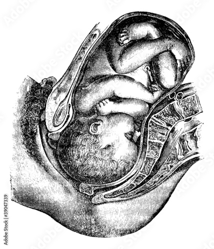 Rotation previously completed, vintage engraving.