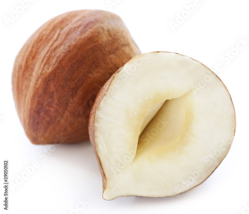 Tableau sur toile Filbert (hazelnut) isolated on white