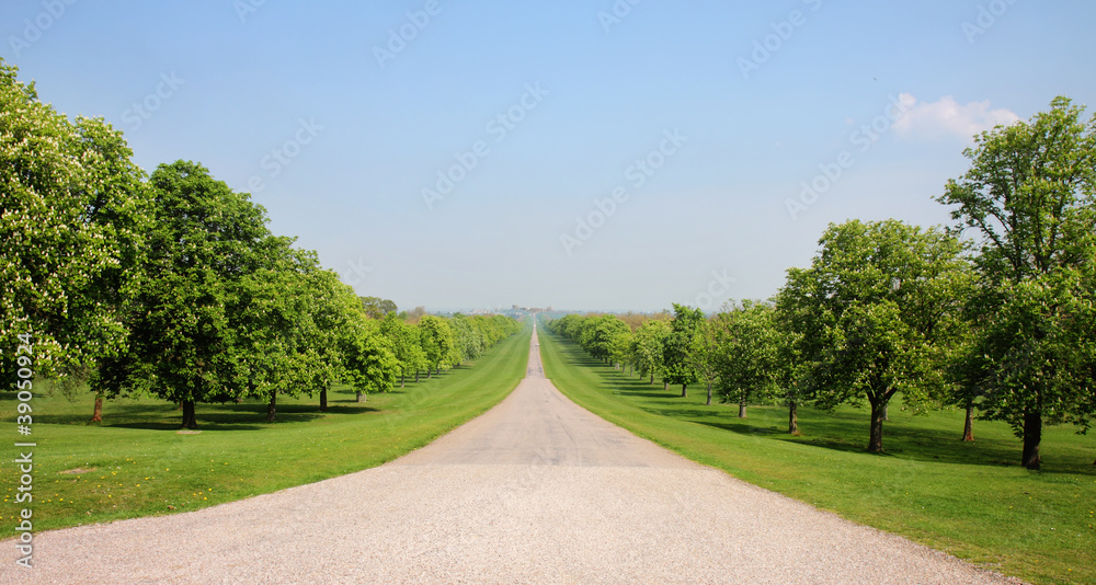 The Long Walk in Windsor Great Park