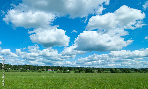 Rural landscape.