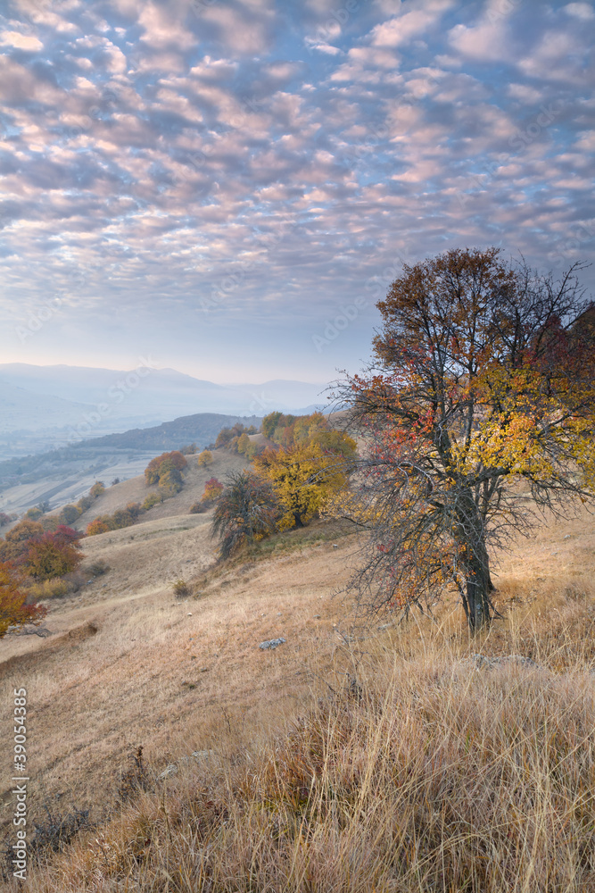 Autumn in Transylvania 2....