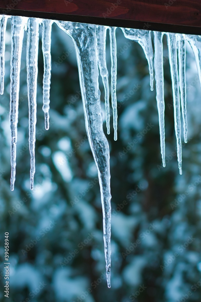 Icicles on the roof Icicles on the roof