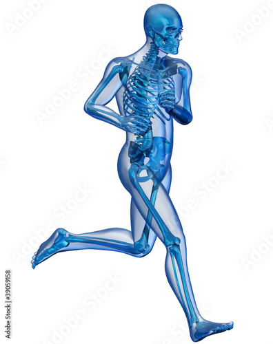 Corpo umano e scheletro in corsa photo