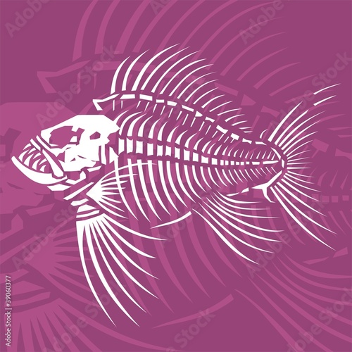 fossil1