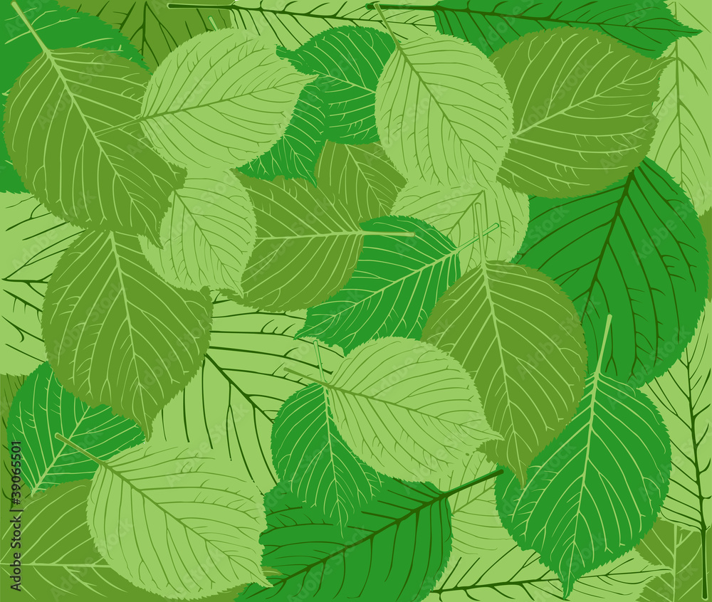 Spring green leaves background