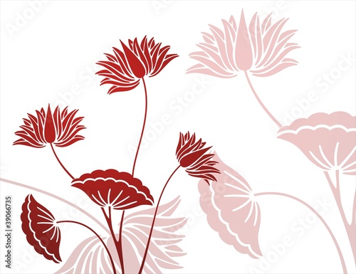Fototapeta Naklejka Na Ścianę i Meble -  water lilies, background, royal India