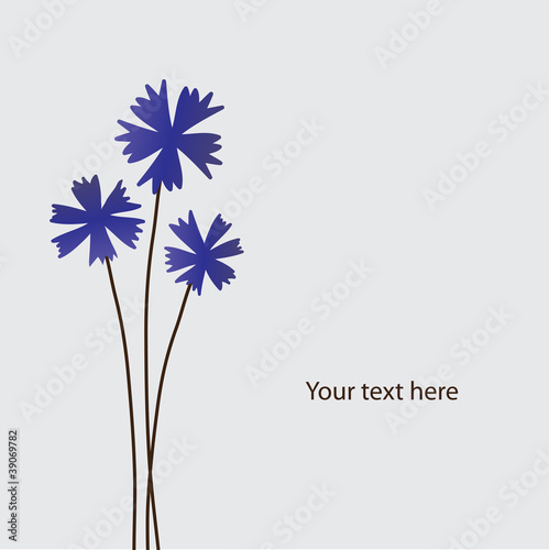 abstract vector flowers background with place for your text