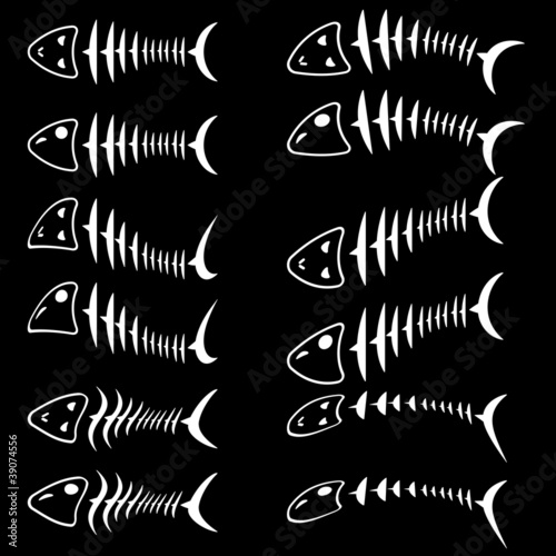 A set of fish skeletons.