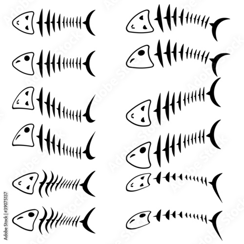 A set of fish skeletons.