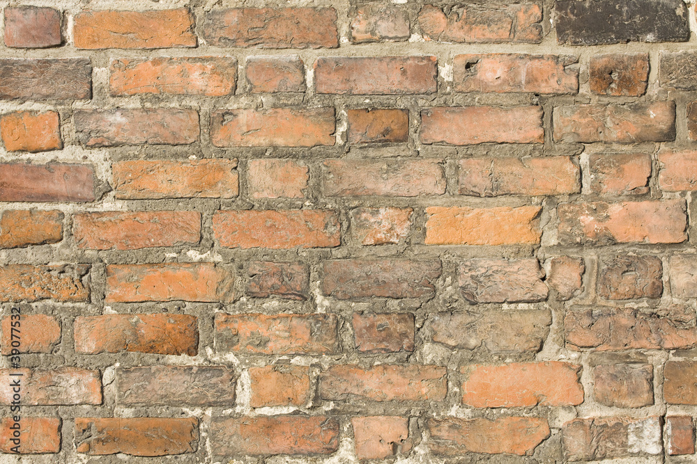 Fototapeta premium Cegły tekstura