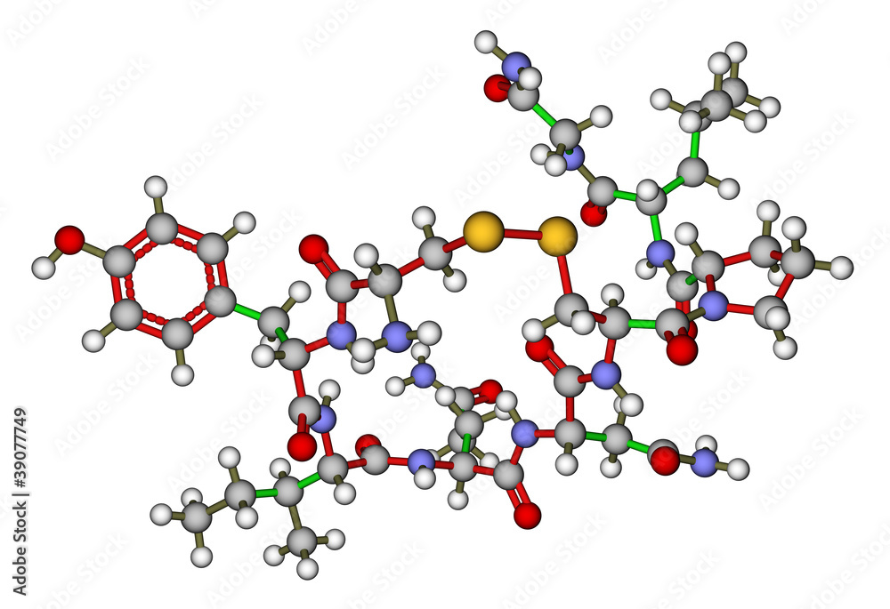 Oxytocin 