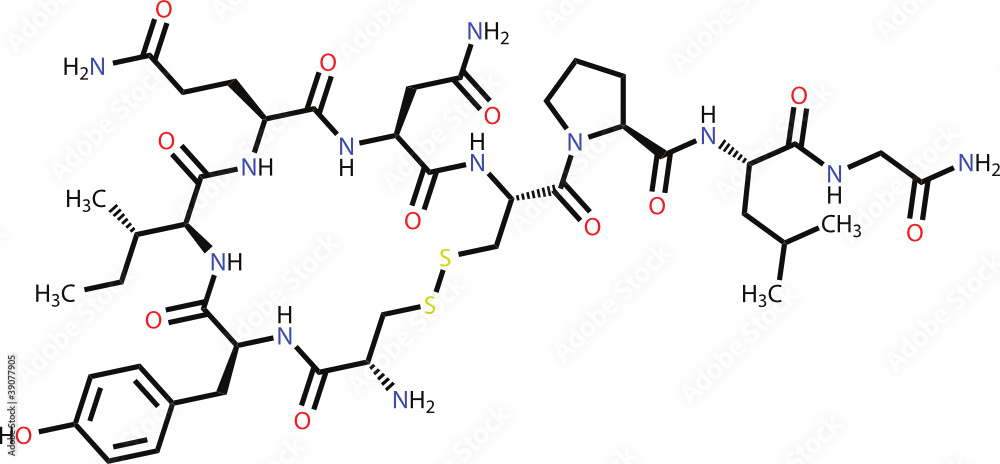 Oxytocin Oxytocin