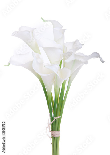 Fotografia bouquet of calla lilies