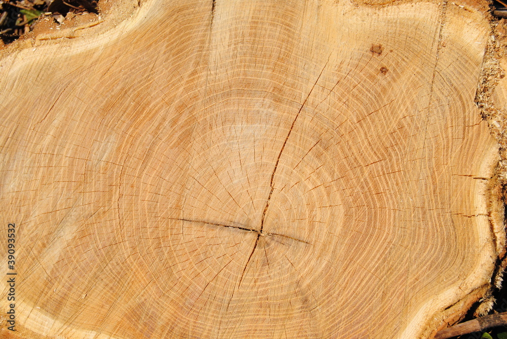 Naklejka premium lubiący i teksturę